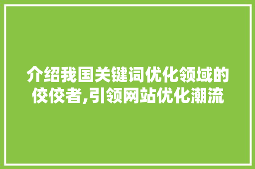 介绍我国关键词优化领域的佼佼者,引领网站优化潮流的顶尖公司