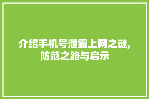 介绍手机号泄露上网之谜,防范之路与启示