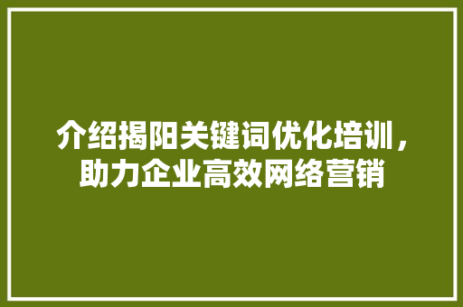 介绍揭阳关键词优化培训，助力企业高效网络营销