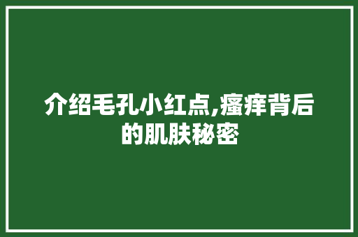介绍毛孔小红点,瘙痒背后的肌肤秘密