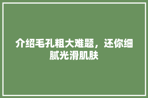 介绍毛孔粗大难题，还你细腻光滑肌肤