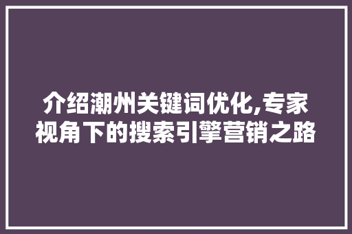 介绍潮州关键词优化,专家视角下的搜索引擎营销之路