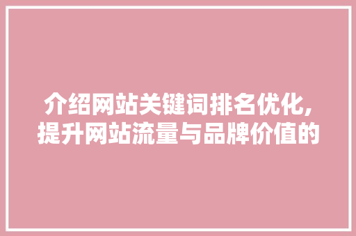 介绍网站关键词排名优化,提升网站流量与品牌价值的方法