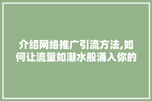介绍网络推广引流方法,如何让流量如潮水般涌入你的网站