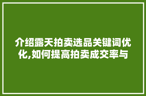 介绍露天拍卖选品关键词优化,如何提高拍卖成交率与效益