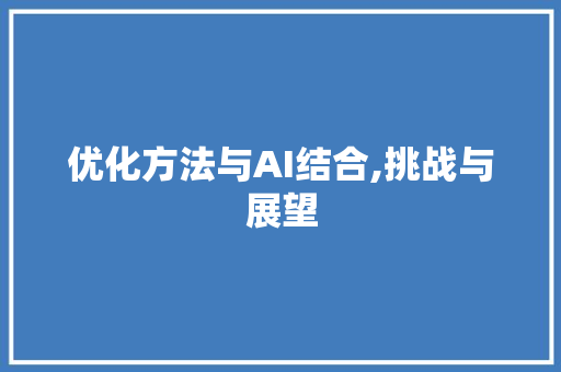 优化方法与AI结合,挑战与展望