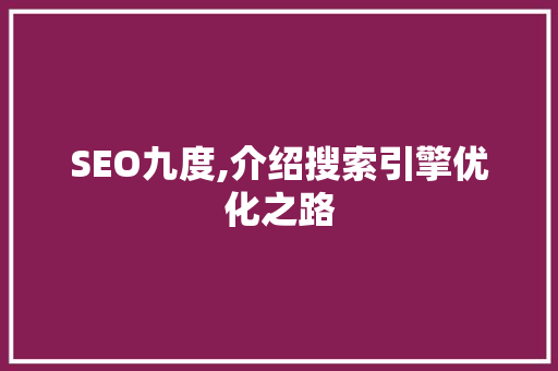 SEO九度,介绍搜索引擎优化之路