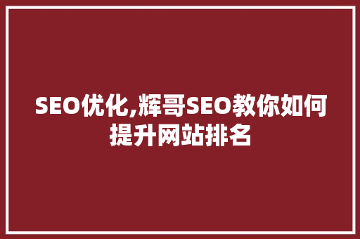 SEO优化,辉哥SEO教你如何提升网站排名