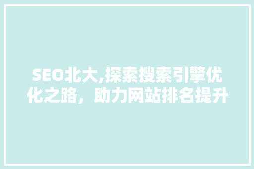SEO北大,探索搜索引擎优化之路，助力网站排名提升
