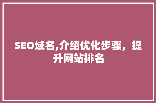 SEO域名,介绍优化步骤，提升网站排名