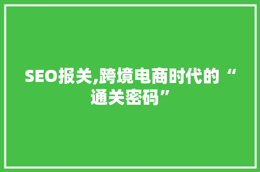 SEO报关,跨境电商时代的“通关密码”