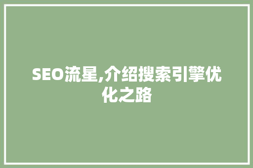 SEO流星,介绍搜索引擎优化之路