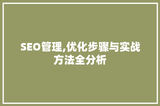 SEO管理,优化步骤与实战方法全分析
