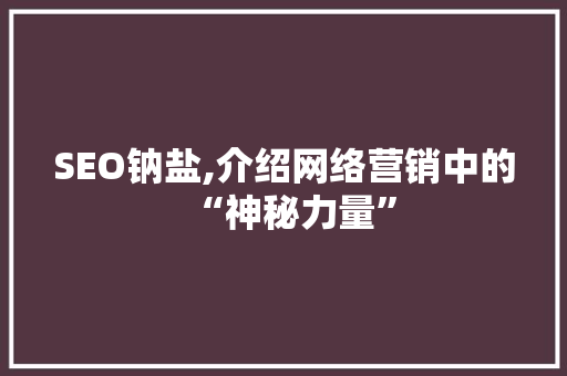 SEO钠盐,介绍网络营销中的“神秘力量”