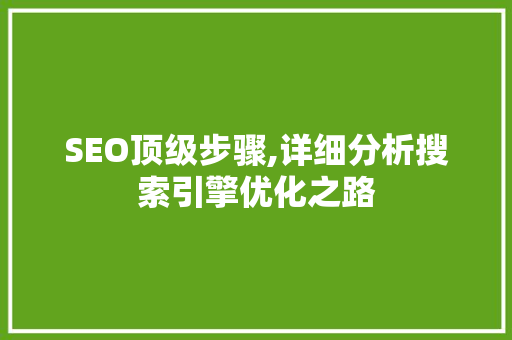 SEO顶级步骤,详细分析搜索引擎优化之路