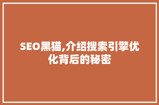 SEO黑猫,介绍搜索引擎优化背后的秘密