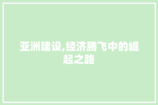 亚洲建设,经济腾飞中的崛起之路
