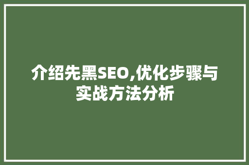 介绍先黑SEO,优化步骤与实战方法分析