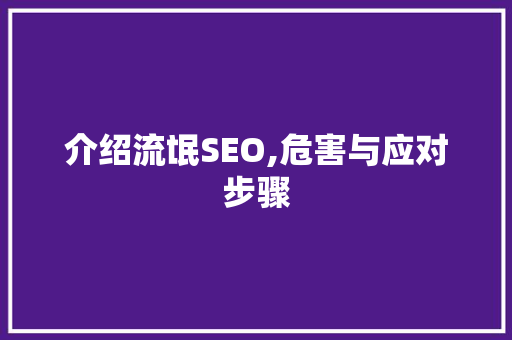 介绍流氓SEO,危害与应对步骤