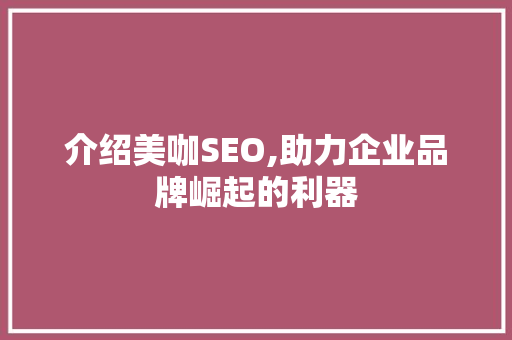 介绍美咖SEO,助力企业品牌崛起的利器