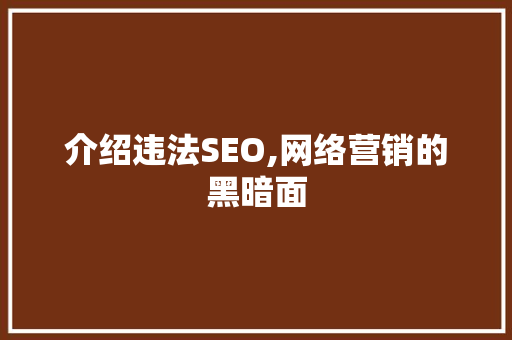 介绍违法SEO,网络营销的黑暗面