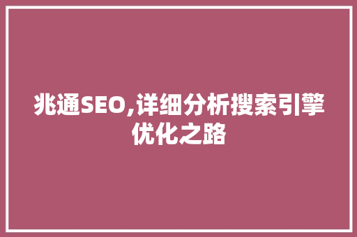 兆通SEO,详细分析搜索引擎优化之路