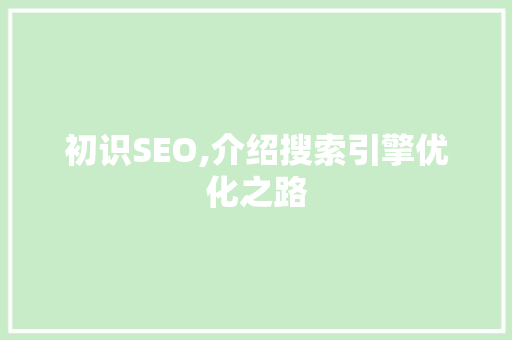 初识SEO,介绍搜索引擎优化之路