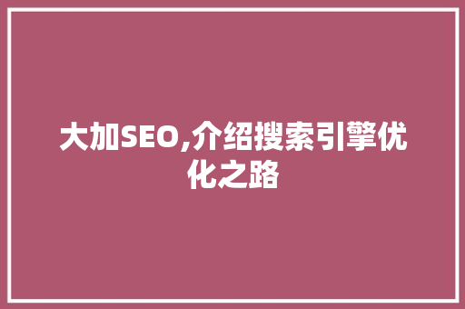 大加SEO,介绍搜索引擎优化之路