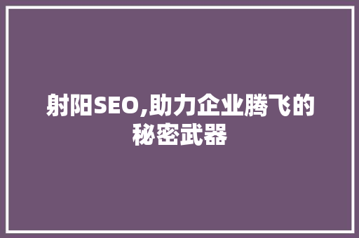 射阳SEO,助力企业腾飞的秘密武器