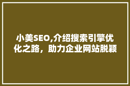 小美SEO,介绍搜索引擎优化之路，助力企业网站脱颖而出