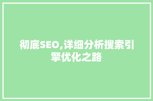 彻底SEO,详细分析搜索引擎优化之路