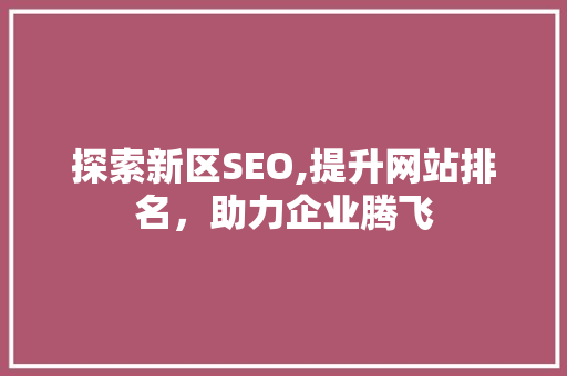探索新区SEO,提升网站排名，助力企业腾飞