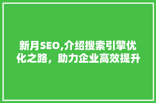 新月SEO,介绍搜索引擎优化之路，助力企业高效提升网站排名