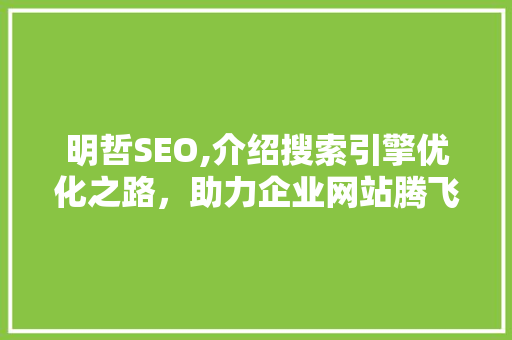 明哲SEO,介绍搜索引擎优化之路，助力企业网站腾飞