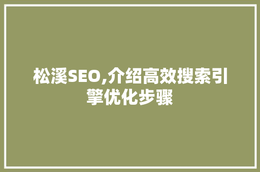 松溪SEO,介绍高效搜索引擎优化步骤