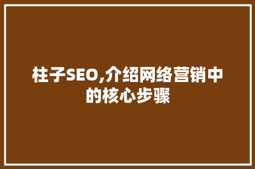 柱子SEO,介绍网络营销中的核心步骤
