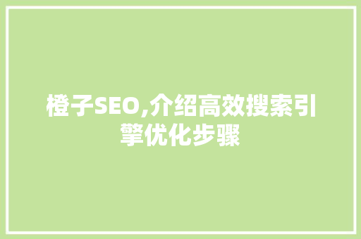 橙子SEO,介绍高效搜索引擎优化步骤