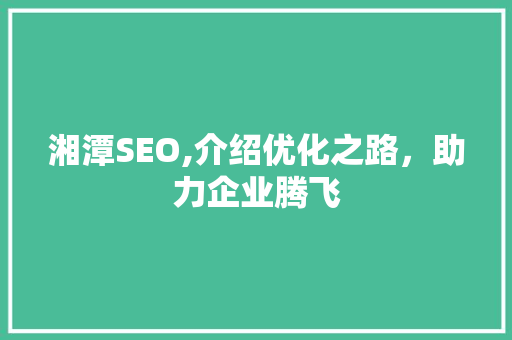 湘潭SEO,介绍优化之路，助力企业腾飞