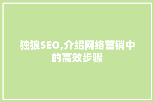 独狼SEO,介绍网络营销中的高效步骤