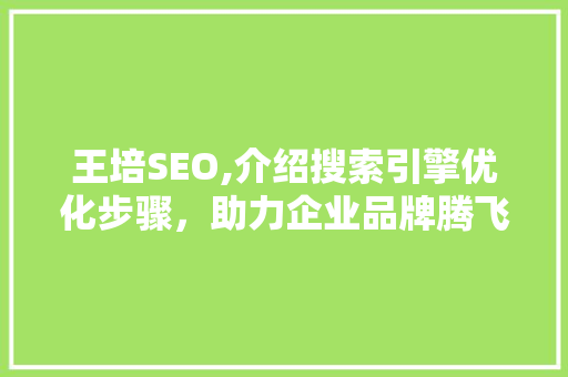 王培SEO,介绍搜索引擎优化步骤，助力企业品牌腾飞