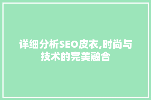 详细分析SEO皮衣,时尚与技术的完美融合