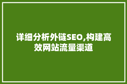 详细分析外链SEO,构建高效网站流量渠道