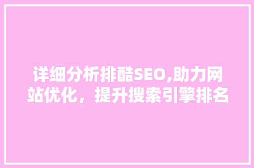 详细分析排酷SEO,助力网站优化，提升搜索引擎排名