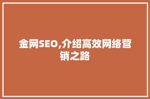 金网SEO,介绍高效网络营销之路