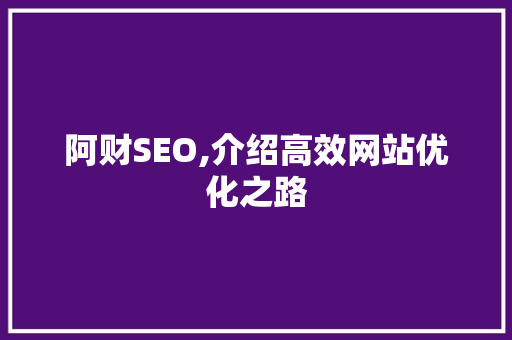 阿财SEO,介绍高效网站优化之路