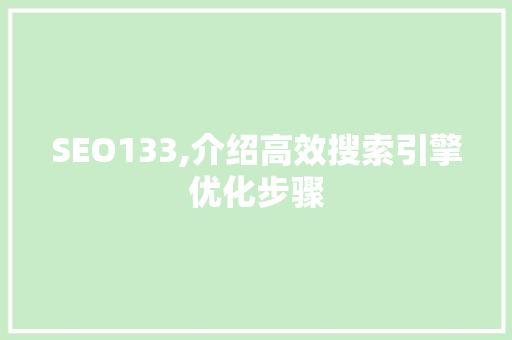SEO133,介绍高效搜索引擎优化步骤