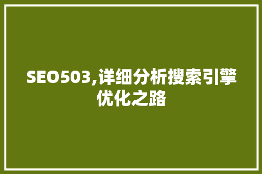 SEO503,详细分析搜索引擎优化之路