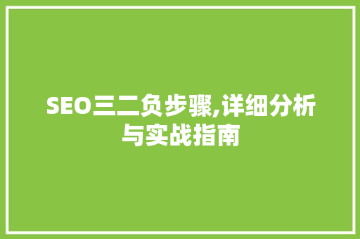 SEO三二负步骤,详细分析与实战指南
