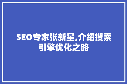 SEO专家张新星,介绍搜索引擎优化之路