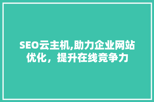 SEO云主机,助力企业网站优化，提升在线竞争力